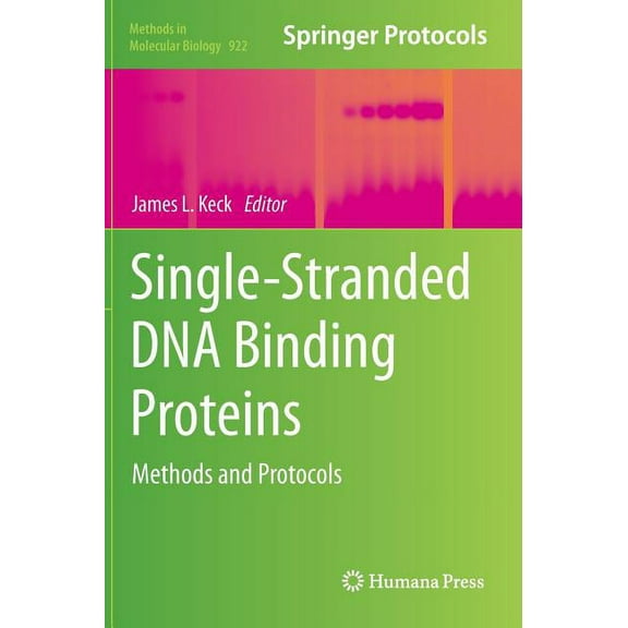 Methods in Molecular Biology Single-Stranded DNA Binding Proteins: Methods and Protocols, Book 922, (Hardcover)