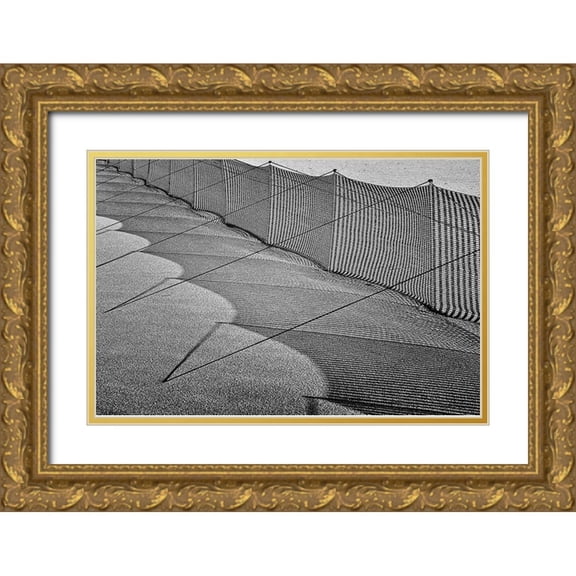 Ebert, Steffen 24x17 Gold Ornate Wood Framed with Double Matting Museum Art Print Titled - Sand Drift Barrier 3