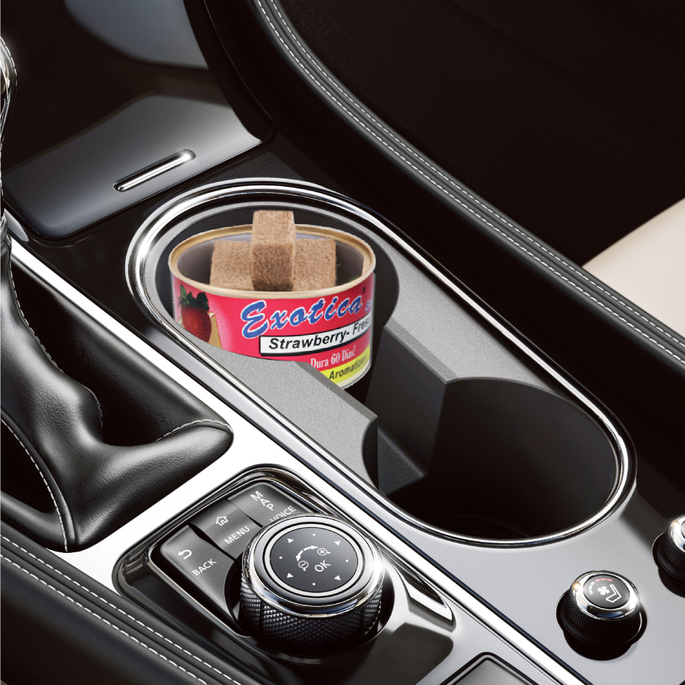 Exotica Car Air Freshener | Spill-proof Can | Organic | For Home & Auto | Long Lasting Freshness | (Pack of 12) (Strawberry)