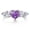 02-February Amethyst Puple, variant on Heart Birthstone Ring for Women,Silver Plated CZ Promise Ring,Heart Engagement Ring, Valentine’s Day Birthday Christmas Mother’s Day Jewelry Gift for Women Wife Mom Girlfriend
