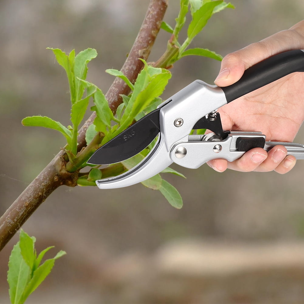 Garosa Garden Scissors, Fruit Tree Pruning Shears, Professional Steel Bonsai Grafting Cutter