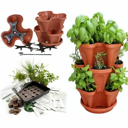 Garden Stacker Planter + Indoor Culinary Herb Garden Kit - Great Gift Idea - Grow Cooking Herbs - Seeds: Cilantro, Basil, Dill, Oregano- Includes TerraCotta Color Stackable (Best Way To Grow Seeds Indoors)