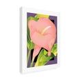 thumbnail image 2 of Trademark Fine Art 'Calla Pink' Canvas Art by David Chestnutt, 2 of 3