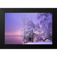 thumbnail image 2 of Maier, Norbert 18x13 Black Modern Framed Museum Art Print Titled - Stillness, 2 of 5
