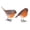 Couleur Assortie, variante sur MasteelfCA 2 Pcs Modèle d'Oiseau en Résine Figurine d'Animal Jouet Ornements Simulés pour Maison