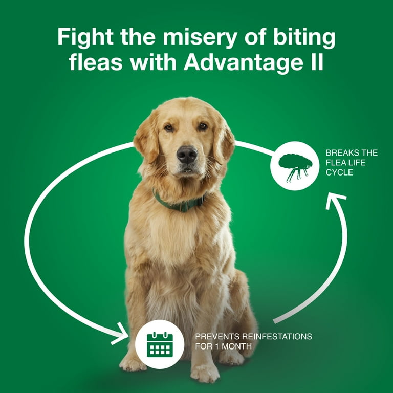 Advantage II Vet Recommended Flea Prevention for Medium Dogs 11 20 lbs 4 Monthly Treatments