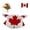 A, variant on 2026 Porch Goose Outfit Porch Goose Goose Shaped Outfit Suitable For 23 Inch Cement Geese Perfect For Outdoor Patio Ceramic Goose .