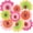 Colorful Flower, variant on Vorkoi 9 PCS Flower Party Decorations Paper Fans Classroom Decoration Paper Floral Backdrop Decor Paper Fans Decoration Hanging Paper Fans