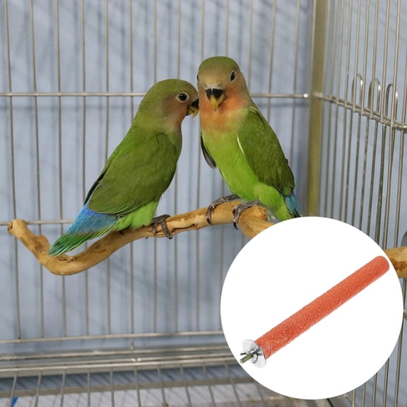 Tineasur Parrot Grinding Stick for Small Birds Pet Tool Bird Trimmer 1 Set