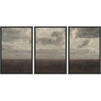PixonSign Framed Canvas Print Wall Art Set Storm Cloud Pastoral Country Farmhouse Landscape Nature Wilderness Illustrations Modern Art Decorative Rustic Relax Colorful for Bedroom - 24"x36"x3 Black