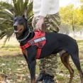 thumbnail image 2 of Arnés antitirones para perros, ajustable, reflectante, transpirable, para caminar al aire libre, para perros pequeños, medianos y grandes, 2 of 5