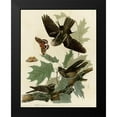 thumbnail image 2 of Vintage Apple Collection 15x18 Black Modern Framed Museum Art Print Titled - Whipporwill, 2 of 5