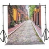 SAYFUT Studio Photo Video Photography Backdrops Vinyl Fabric Christmas Holiday Party Decorations Background Screen Props 3x5ft 30+ Colors