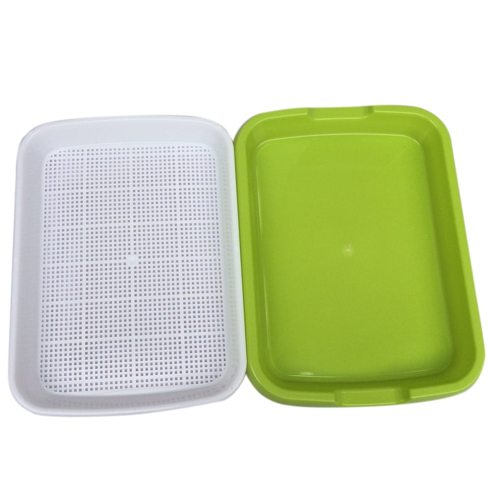 Bud Sprouts Seedling Hydroponics Tray Nursery Tray Wheat Grass