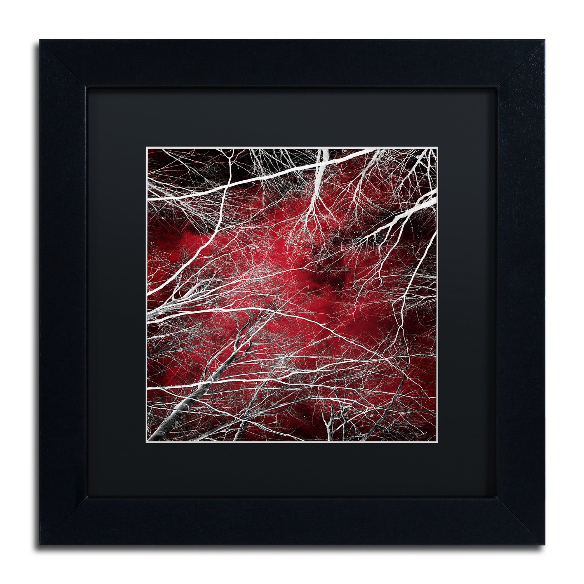 Trademark Fine Art "Fear" Canvas Art by Philippe Sainte-Laudy Black Matte, Black Frame