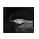 thumbnail image 2 of "Anillos Promesa Joyeria Plata 925 Regalos Aniversario Mujer Belug rosa ", 2 of 5