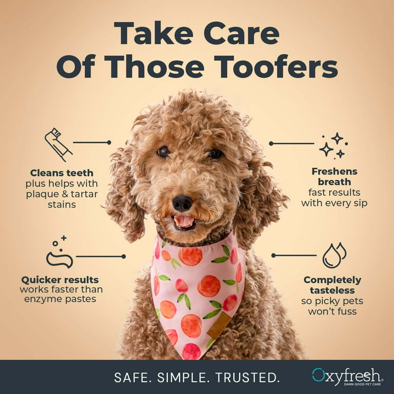 Oxyfresh Premium Pet Dental Kit with Toothpaste, Water Additive & Brushes photo 2