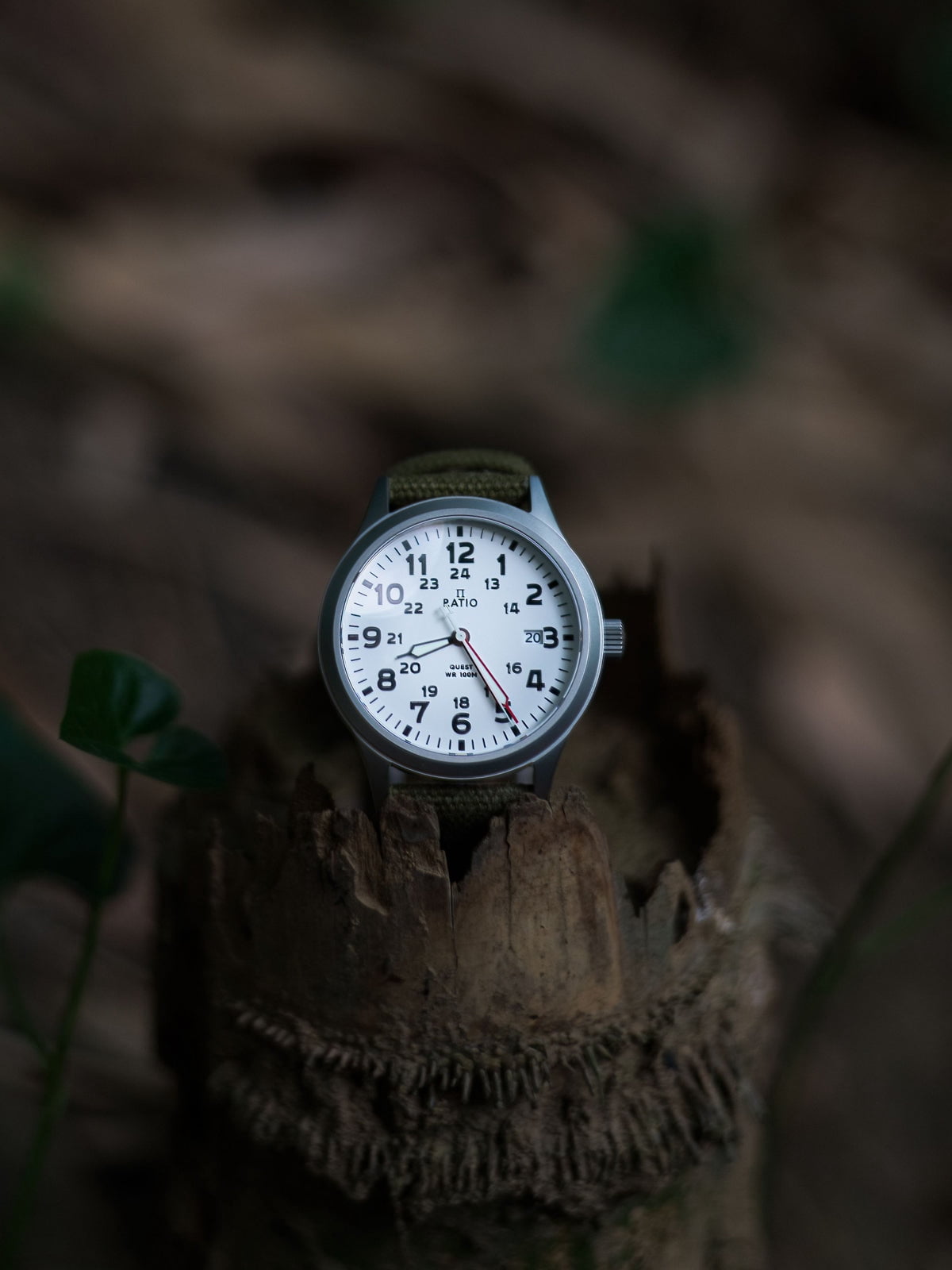 Ratio Quest Men's Field Watch Sapphire Canvas Strap Quartz RTQ027 100M Lewis And Clark Edition