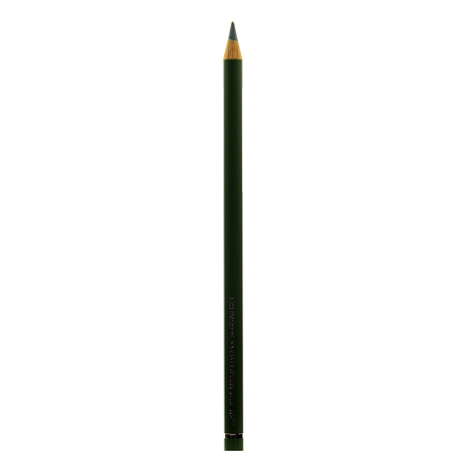 Faber-Castell Polychromos Artist Earth Green Colored Pencils (Pack of 12)