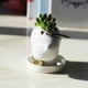 thumbnail image 4 of Oficina Decoración Jardín Animal Pie Decoración Jardín Animal Acostado + Decoración ficina Baoblaze none, 4 of 8