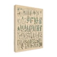 thumbnail image 2 of Wild Apple Portfolio 'Fern Chart' Canvas Art, 2 of 3