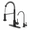 Black-Kitchen Faucet and Filter Faucet, variant on Matte Black Kitchen Faucet with Pull Down Sprayer, 3-Function Stainless Steel Sink Fixture