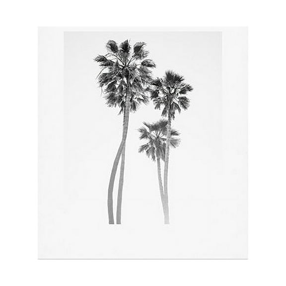Society6 Monochrome California Palms by Bethany Young Photography Art Print