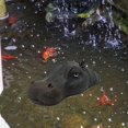 thumbnail image 5 of Novelty Floating Hippo Head Ornaments Realistic Animals Statue for Swimming Pool Mouth Closed, 5 of 7