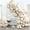 White-f12, variant on Black Balloon Set (140 Pieces) Includes four sizes of black balloon arch decorations: 18-inch, 12-inch, 10-inch, and 5-inch. Ideal for decorating baby showers, birthdays, graduations, anniversaries,