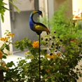 thumbnail image 3 of Adornos para jardín Sharpla Estatuilla de Luces de camino de paisaje con energía solar Luces de pavo real, 3 of 8