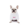 thumbnail image 3 of Sudadera con capucha para perro Woof Trails Blooming Teddy con forro polar, talla pequeña, 3 of 5
