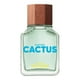 thumbnail image 1 of BENETTON GREEN CACTUS FOR MEN EDT 100 ML Benetton 2023, 1 of 3