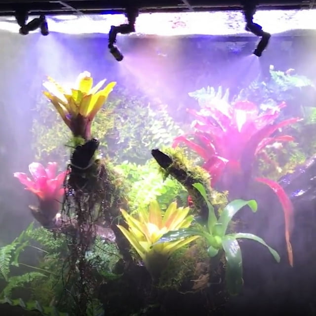 reptiles, nebulizador, rociador de niebla, tanque de selva tropical, sistema de acuario ajustable 360, conexión de bañera de 1/4 pulgadas Nebulizador negro con diseño de doble cabezal en forma de "hueso", vista 3/4; dos boquillas plásticas giratorias 360° emitiendo niebla fina y uniforme sobre plantas y musgo dentro del tanque, efecto de selva tropical y aumento de humedad visible, tamaño compacto para instalación oculta; se recomienda un diámetro del orificio de 14 mm.