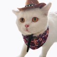 thumbnail image 6 of Dog Cat Outdoor Photo Prop Cowboy Hats Summer Dogs Cats Headwear Dogs Cat Caps Dog Costume Top Hat Pet Dog Hat RED STAR, 6 of 8