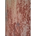 thumbnail image 1 of Ahgly Company Machine Washable Indoor Rectangle Transitional Fire Brick Red Area Rugs, 2' x 3', 1 of 1