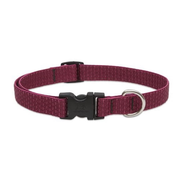 3/4in Berry 13-22 Adj Dog Collar