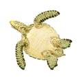 thumbnail image 3 of Safari Ltd. Green Sea Turtle Figurine - Realistic 3.58" Aquatic Figure - Educational Toy for Boys, Girls, and Kids Ages 3+, 3 of 6
