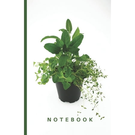 Notebook: Discreet Password Book, With Tabs, Password Organizer (username, notes, website, email, wifi, home ISP, router