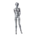 thumbnail image 1 of Figura de acción TAMASHII NATIONS Body Chan con estructura metálica gris, 1 of 5