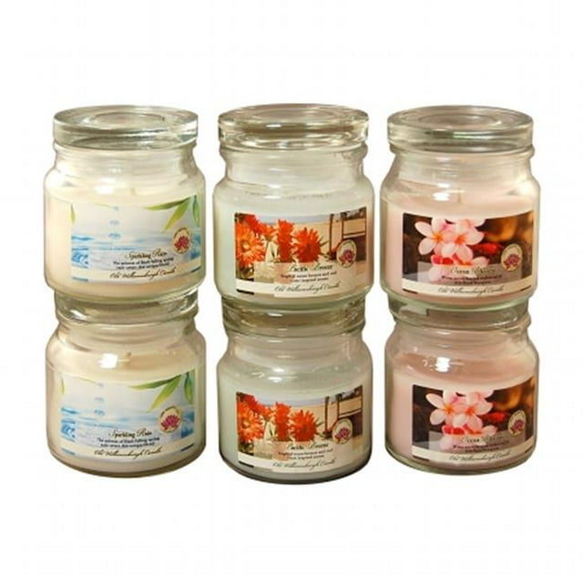 Lumabase 27506 2.5 oz Fresh Collection in Jar Scented Candles, Multicolor - 6 Count