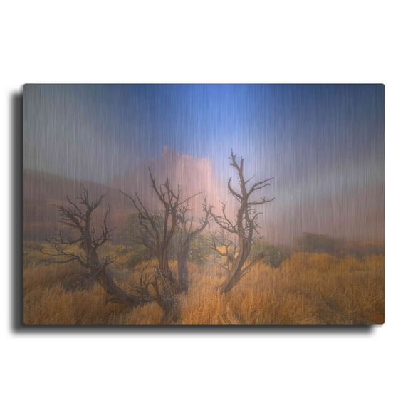 Luxe Metal Art 'Mystic Wonders' by Darren White, Metal Wall Art, 24"x16"
