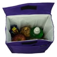 thumbnail image 4 of Ensign Peak Solid Print Insulated Lunch Bag, 4 of 5