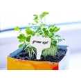 thumbnail image 3 of Blanco, 10x6CM, 100 Piezas Etiqueta de Planta Etiqueta de Plántula Jardín Plantación de Vegetales Plástico Impermeable al Aire Libre, 3 of 5