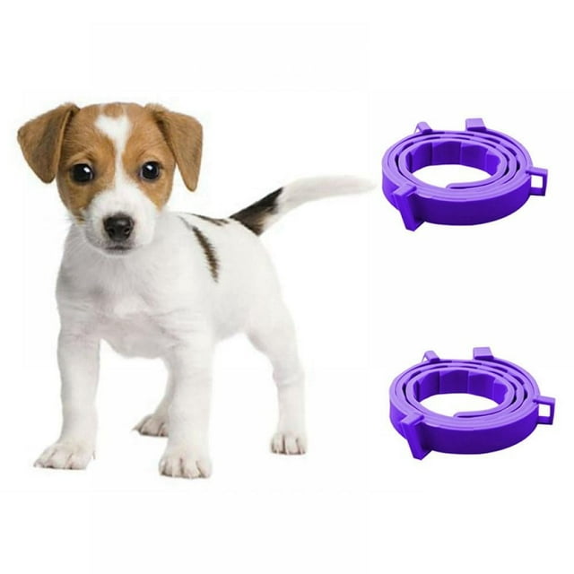 Calming Collar for Dogs A Constant Calm Anywhere You Go Adjustable TPR Neck Strap,relieve Anxiety Remove Restlessness
