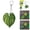 D, variant on 1Pcs St. Patrick's Day Green Ginkgo Leaf Acrylic Keychain - 3.19in 2D Plant Pendant for Car Interior, Home Decor & Lucky Irish Holiday Gift (B)
