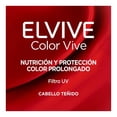 thumbnail image 4 of Shampoo L'Oréal Elvive color vive cabello teñido 370 ml, 4 of 4