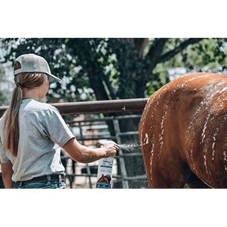 Vetericyn FoamCare Horse Shampoo | Equine Shampoo with Aloe to Promote Healthy Skin and Coat - Paraben Free - Cleans, Moisturizes, and Conditions Horse's Coat - Instant Foam Shampo