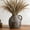 Brown, variant on Rustic Antique Ceramic Vase with Handle,5.2 Inch Large Terracotta Flower Vase for Home Decor