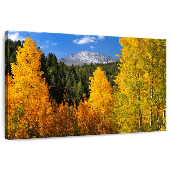 Elephant Stock Pikes Peak In Autumn Wall Art - Horizontal Canvas Wall Art - Living Room Wall Decor - Nature Canvas - Gold And Gray Decor - 12" x 8"