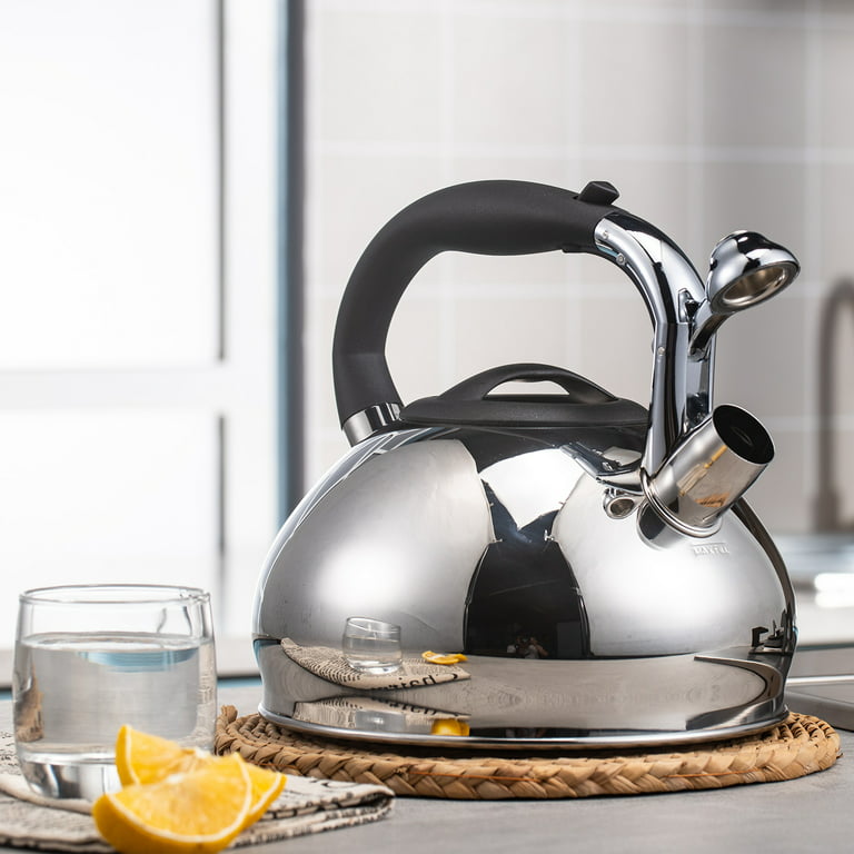 Easyworkz Whistling Stovetop Tea Kettle Food-Grade Stainless Steel Hot  Water Tea Pot, 2.65 Quart, Mirror Finish 